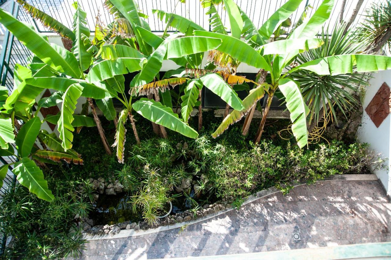 Hotel Residence Garden Alassio Eksteriør billede